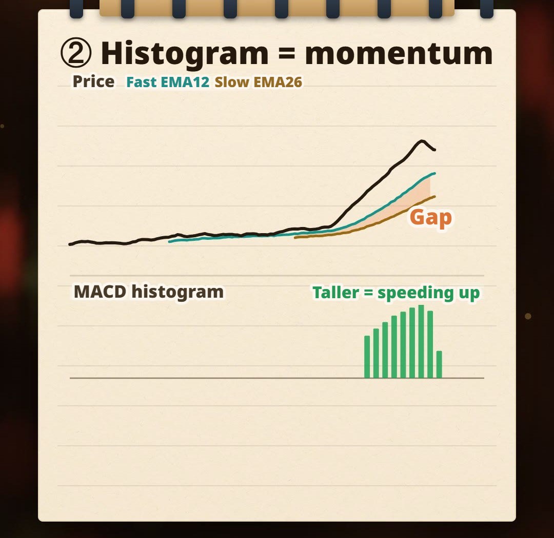 Hand-drawn notebook sketch: a fast and a slow exponential moving average; as the distance between them widens, the histogram below grows taller; as the widening slows, the histogram starts to shrink