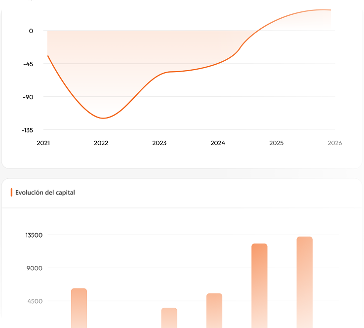 AI Strategy Assistant: evolución del capital